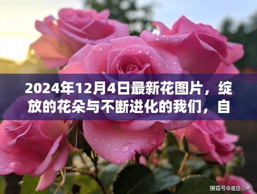 滔滔不绝 第3页
