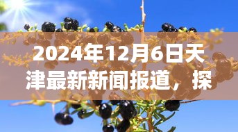 联系 第267页