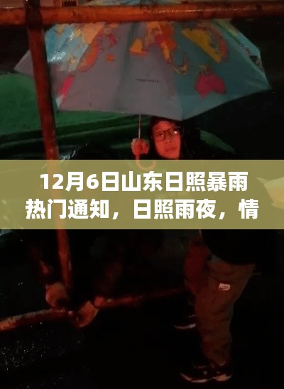 12月6日山东日照暴雨热门通知，日照雨夜，情暖邻里间——一个关于暴雨天的温馨故事