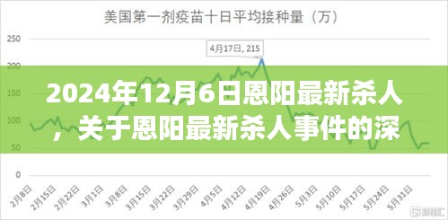 恩阳最新杀人事件深度解析，2024年12月6日案发细节揭秘与要点详解