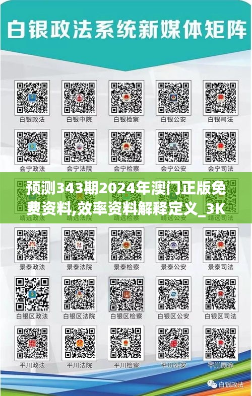 预测343期2024年澳门正版免费资料,效率资料解释定义_3K11.161