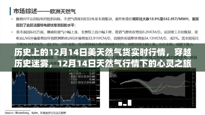 娇小玲珑 第3页