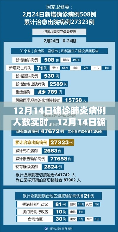12月14日肺炎确诊病例实时分析与评测，疫情最新动态解读
