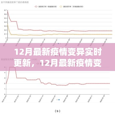 12月疫情变异实时更新全解析，初学者与进阶用户指南