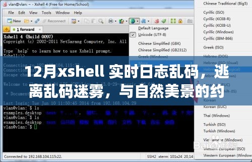 鸟云之阵 第2页