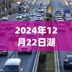 湖南车祸背后的励志故事与智慧启示，驾驭变化，自信前行（实时动态报道）