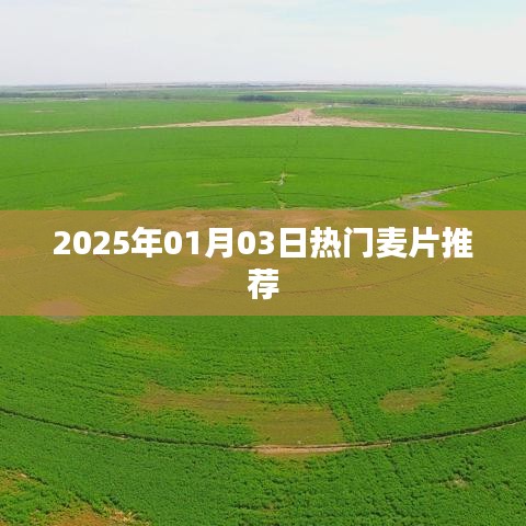 独学寡闻 第2页