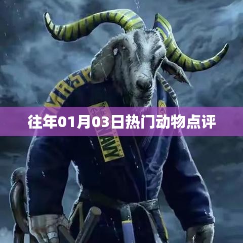 产品 第130页