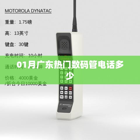 动态 第125页