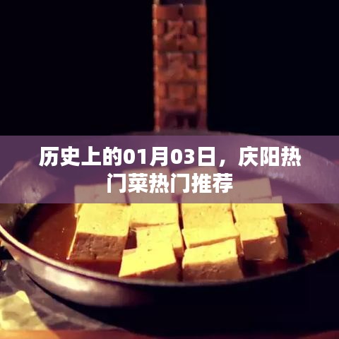 案例 第119页