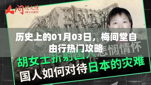 案例 第117页