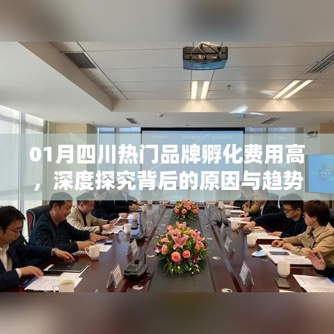 四川品牌孵化费用高涨，深度解析背后的原因与趋势