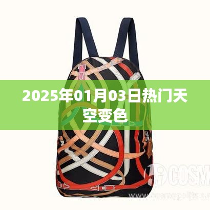 椎髻布衣 第2页