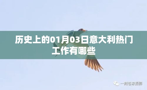 案例 第110页