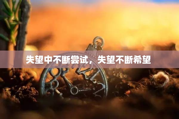 案例 第104页