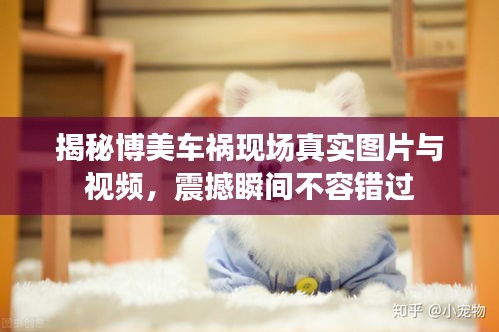 第562页