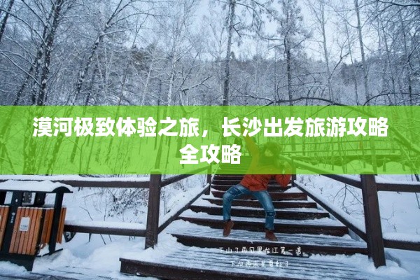 候鸟南飞 第2页