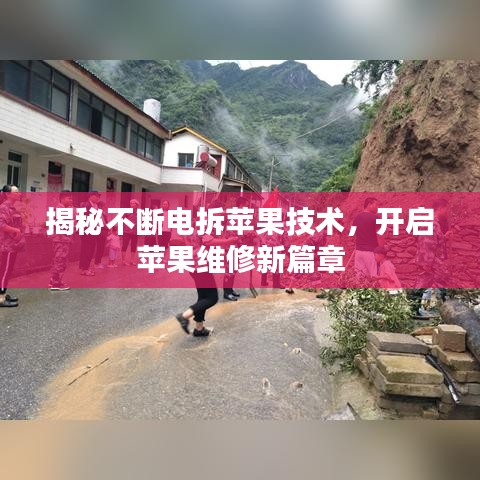 鸟吏鳖官 第2页