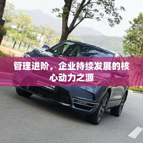 管理进阶，企业持续发展的核心动力之源