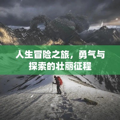 鸟栖虫居