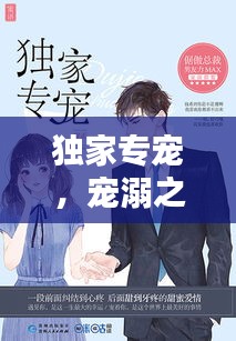 案例 第13页
