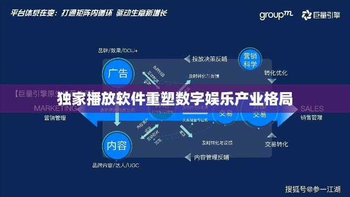 独家播放软件重塑数字娱乐产业格局