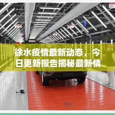徐水疫情最新动态，今日更新报告揭秘最新情况