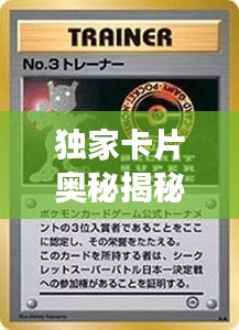 独家卡片奥秘揭秘，一场令人心动的收藏之旅