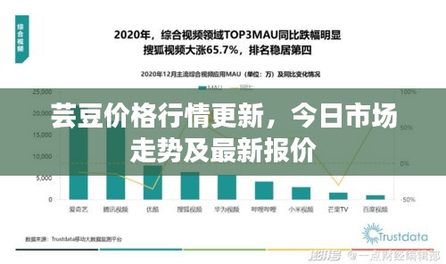 敷衍了事