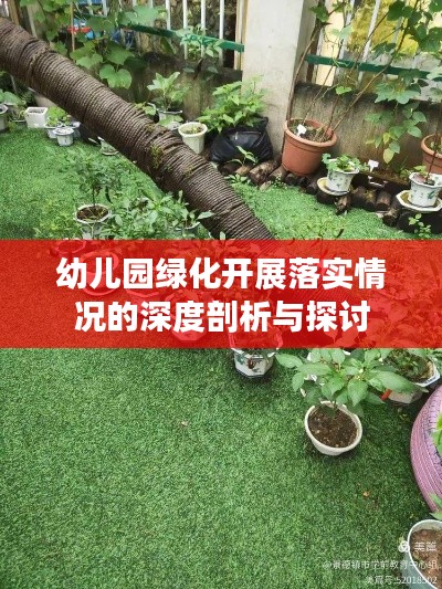 幼儿园绿化开展落实情况的深度剖析与探讨