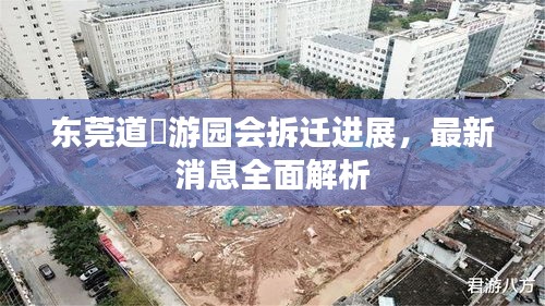 瞻云就日