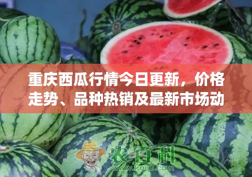 联系 第8页