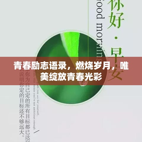 2025年5月9日 第2页