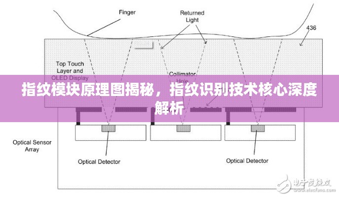 五光十色