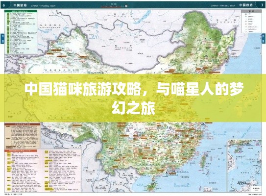 中国猫咪旅游攻略，与喵星人的梦幻之旅