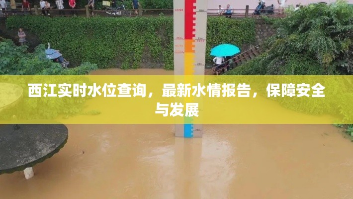 西江实时水位查询，最新水情报告，保障安全与发展
