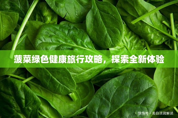 菠菜绿色健康旅行攻略，探索全新体验