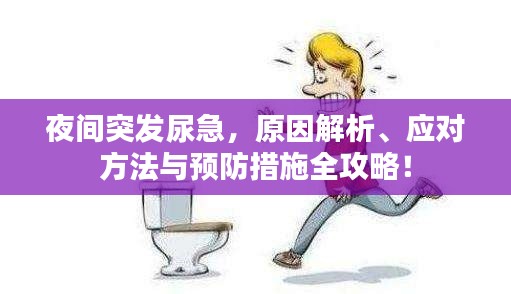 夜间突发尿急，原因解析、应对方法与预防措施全攻略！