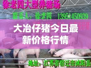 大冶仔猪今日最新价格行情