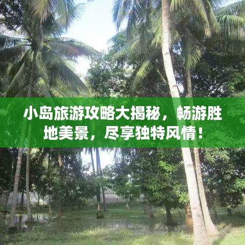 2025年6月16日