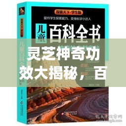 灵芝神奇功效大揭秘，百度知识探索带你了解灵芝的用途与奥秘！