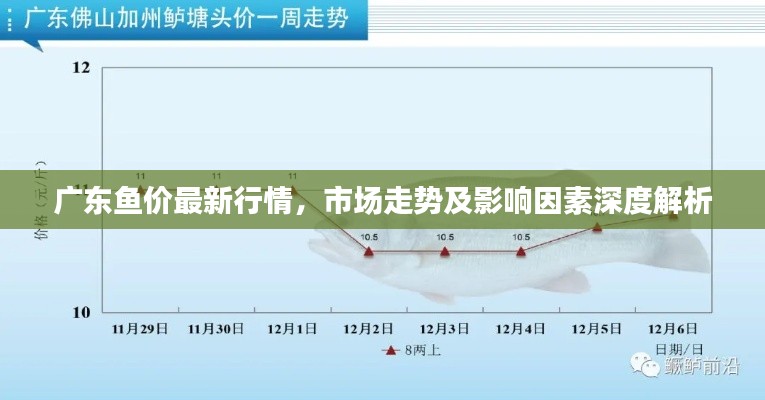 广东鱼价最新行情，市场走势及影响因素深度解析